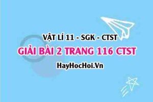 Giải bài 2 trang 116 Vật lý 11 Chân trời sáng tạo